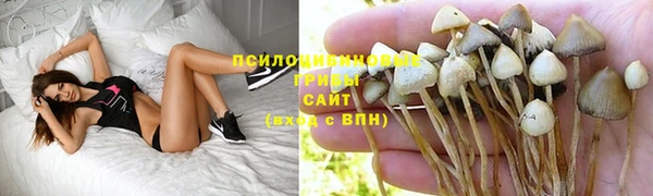 не бодяженный Алексеевка