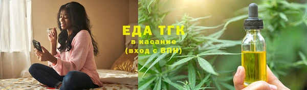 стаф Арсеньев