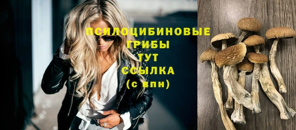 соль ск Балахна