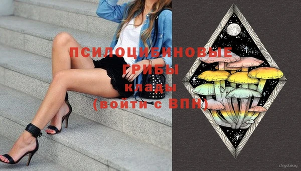 бошки Аркадак